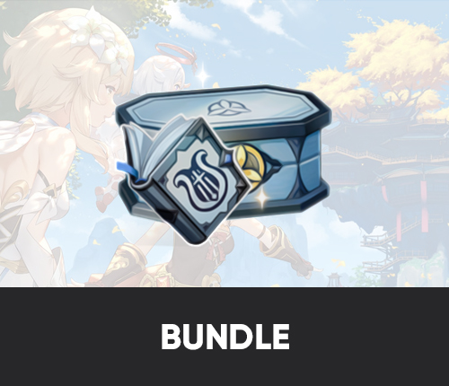 Bundle - mega